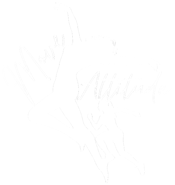 Move Attitude Narbonne